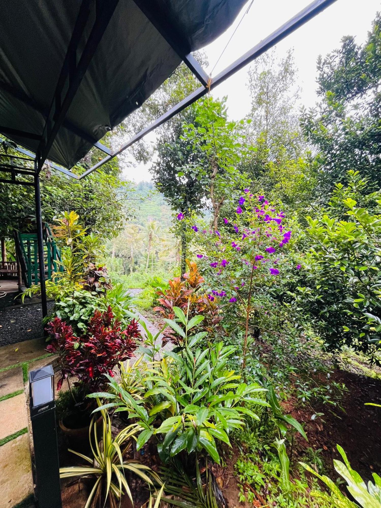 Fab Valley Homestay Munnar Exterior foto